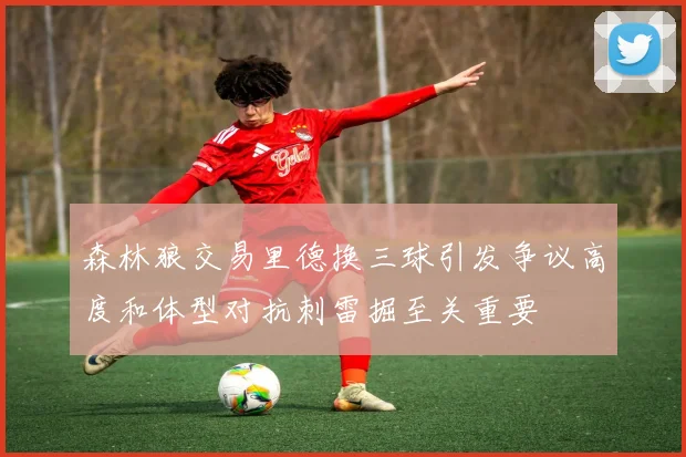 森林狼交易里德换三球引发争议高度和体型对抗刺雷掘至关重要